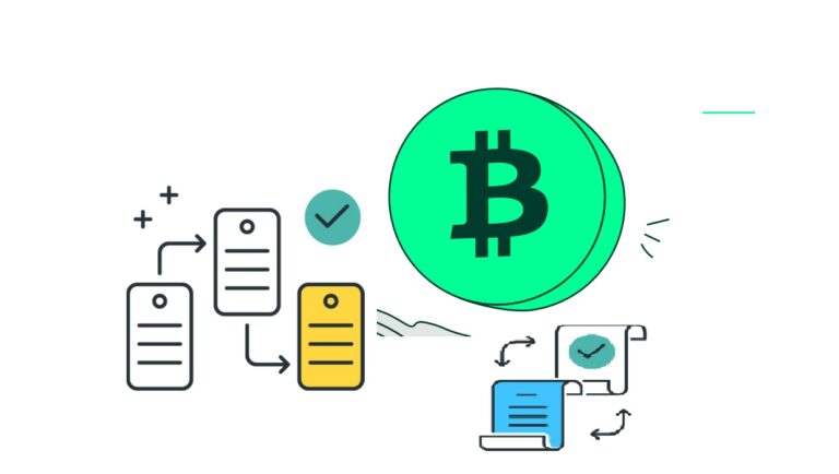 Crypto Fork: How Do Hard and Soft Forks Work in Cryptocurrency?