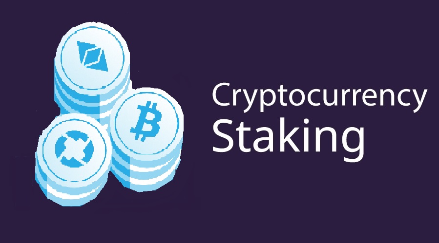 Beginners Guide: All You Need To know About Crypto Staking